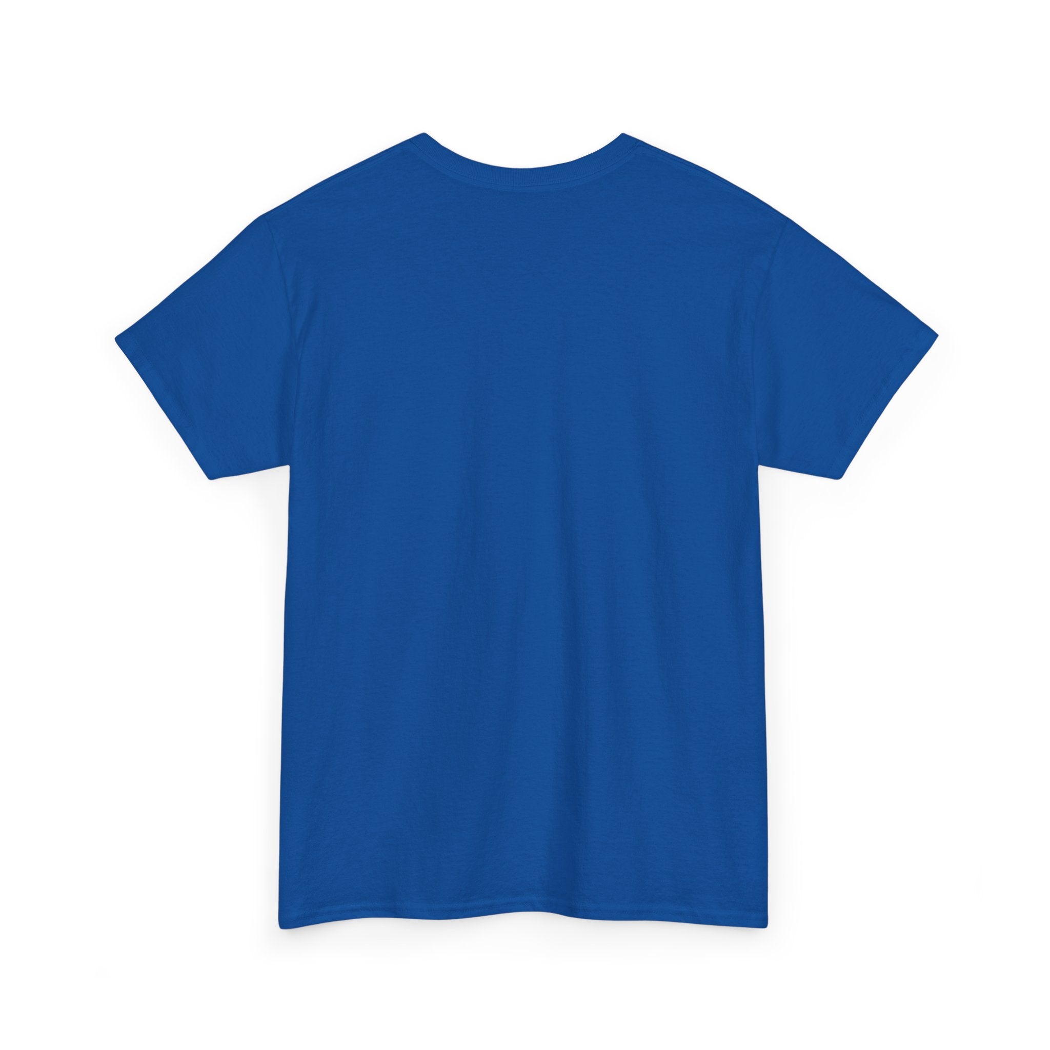 Dystopian White House Tee — Stormy Crumbling Graphic