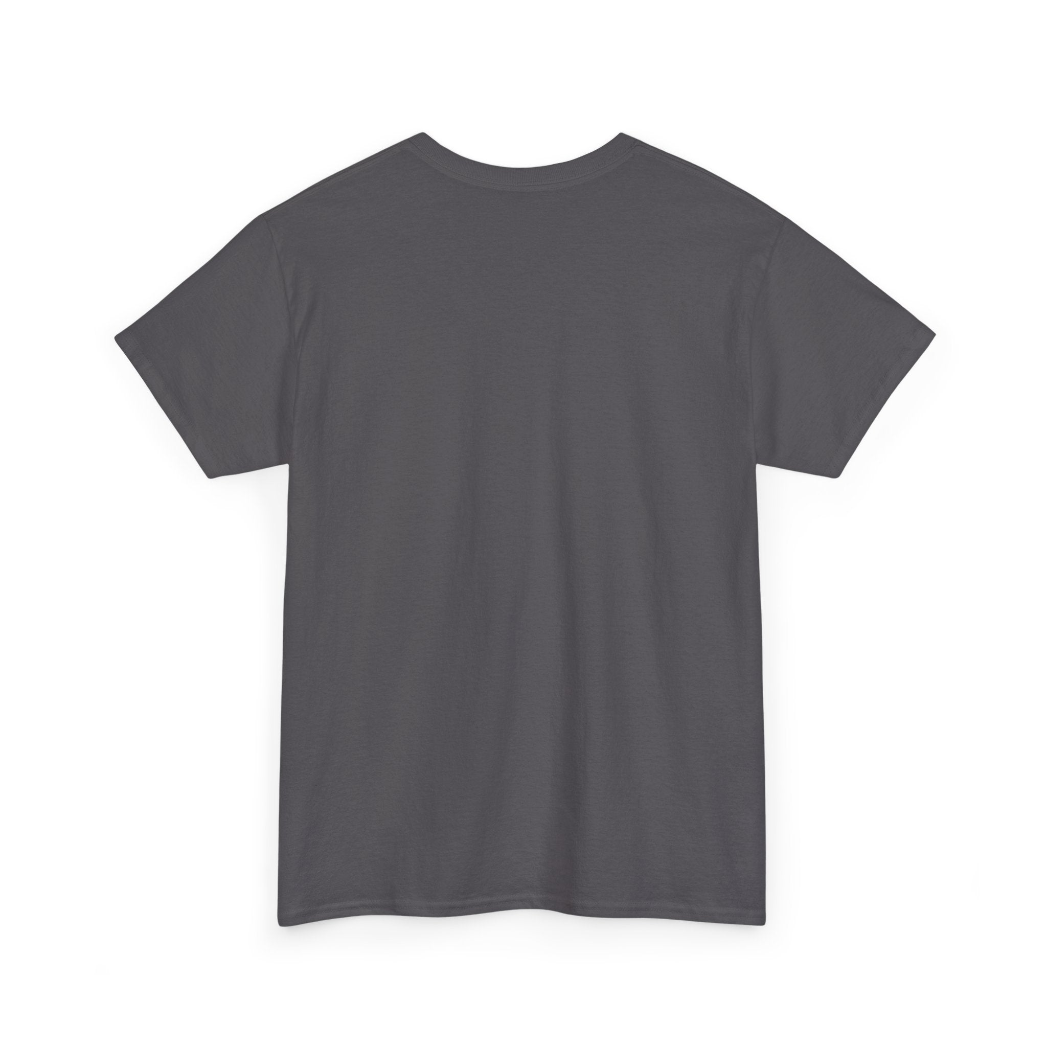 Dystopian White House Tee — Stormy Crumbling Graphic
