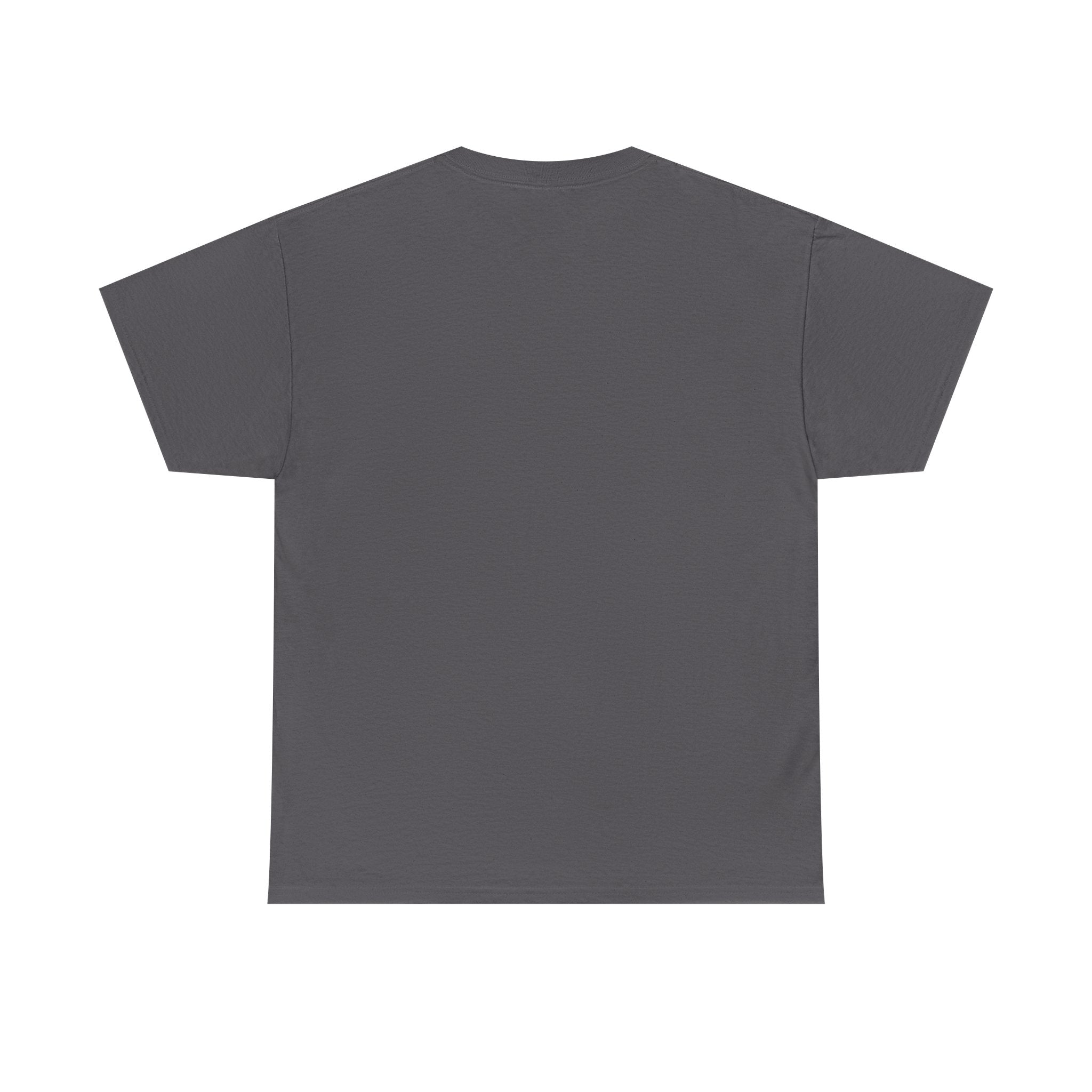 Dystopian White House Tee — Stormy Crumbling Graphic