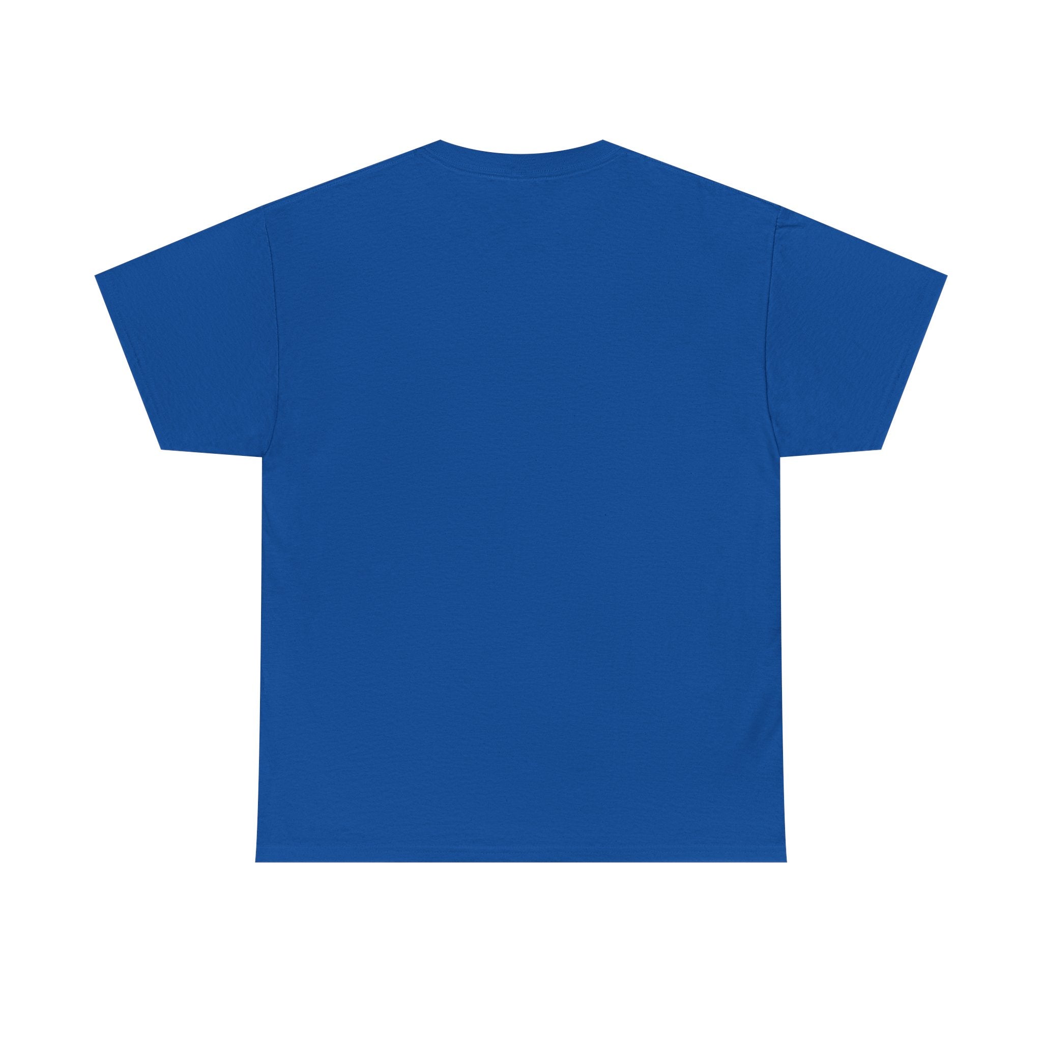 Dystopian White House Tee — Stormy Crumbling Graphic