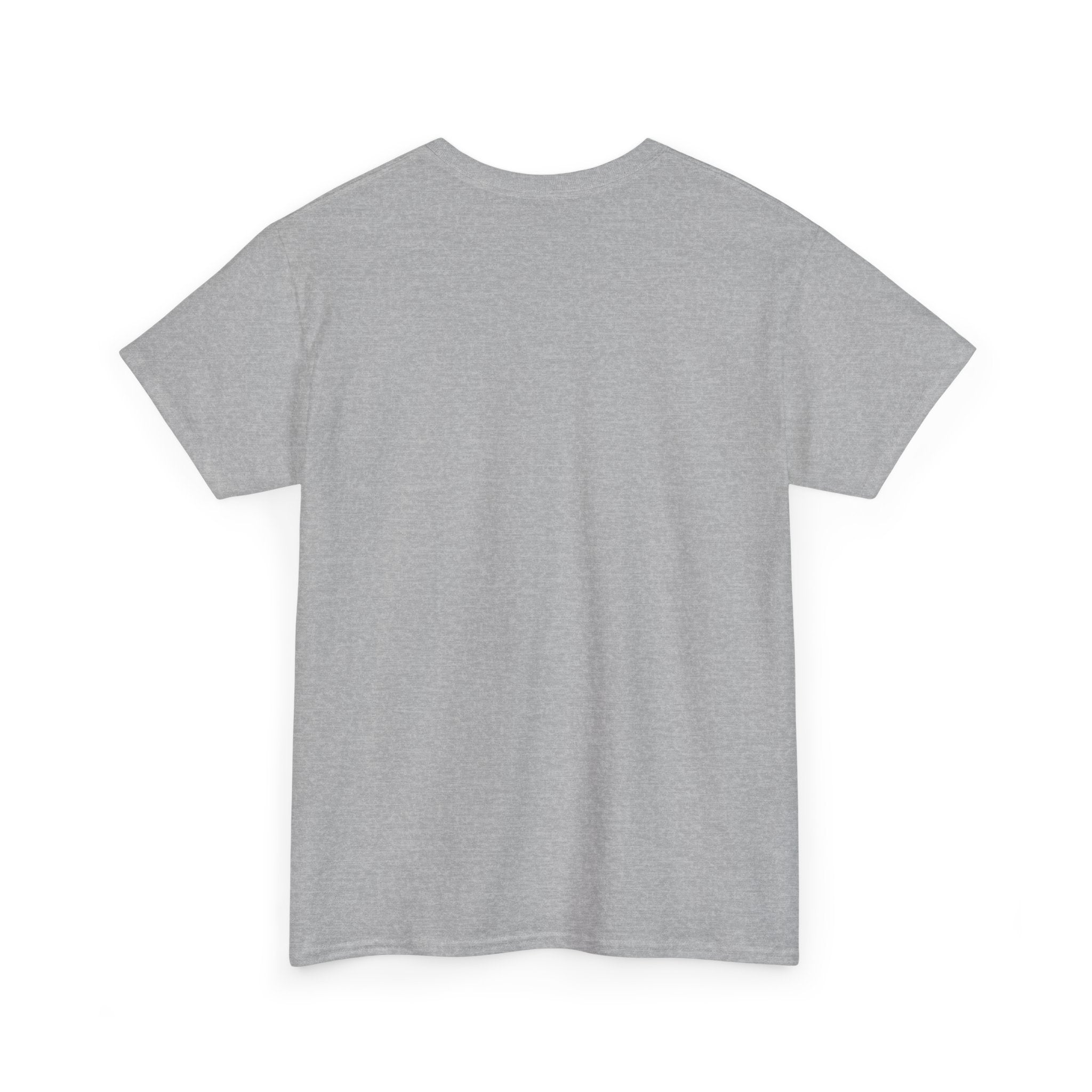 Dystopian White House Tee — Stormy Crumbling Graphic