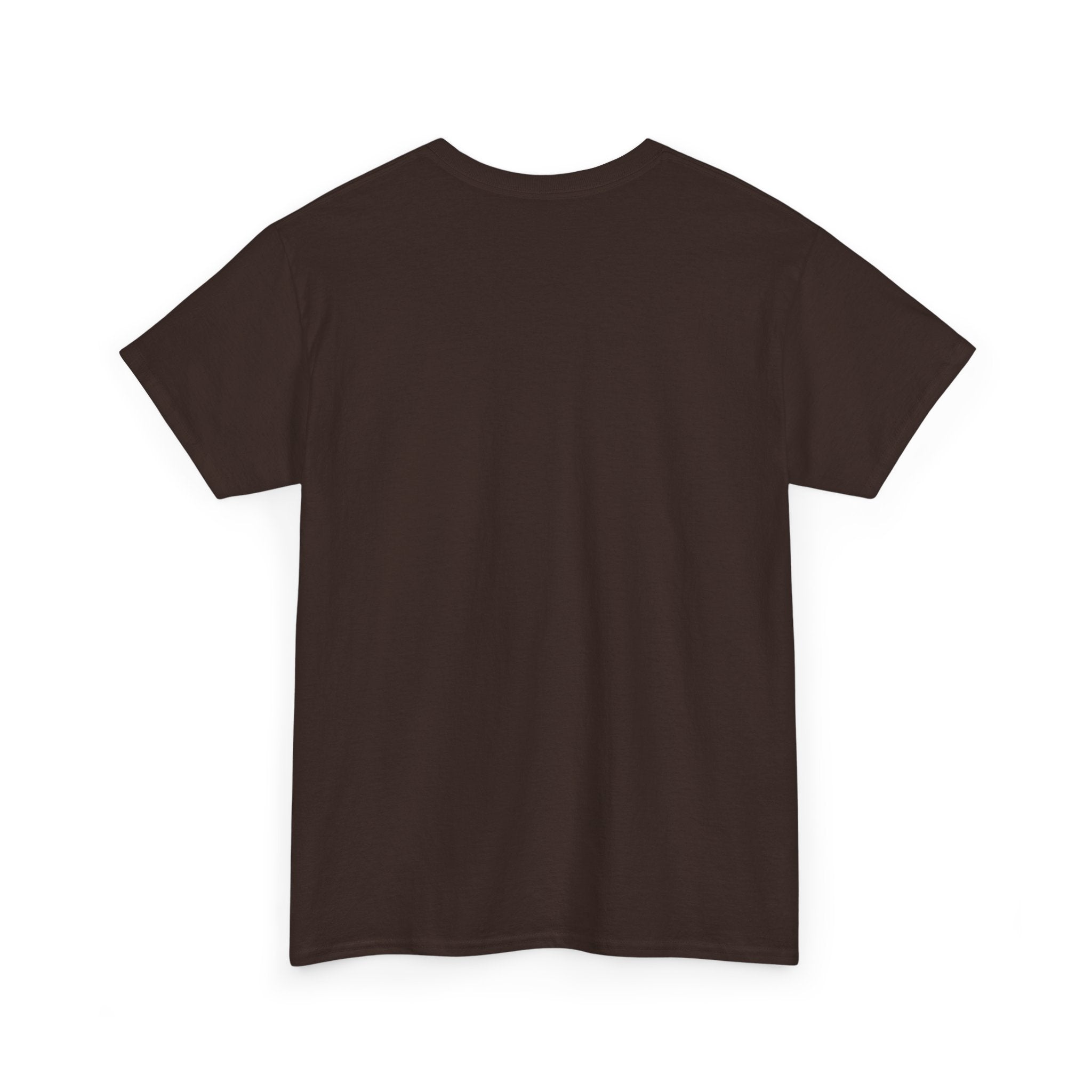 Dystopian White House Tee — Stormy Crumbling Graphic