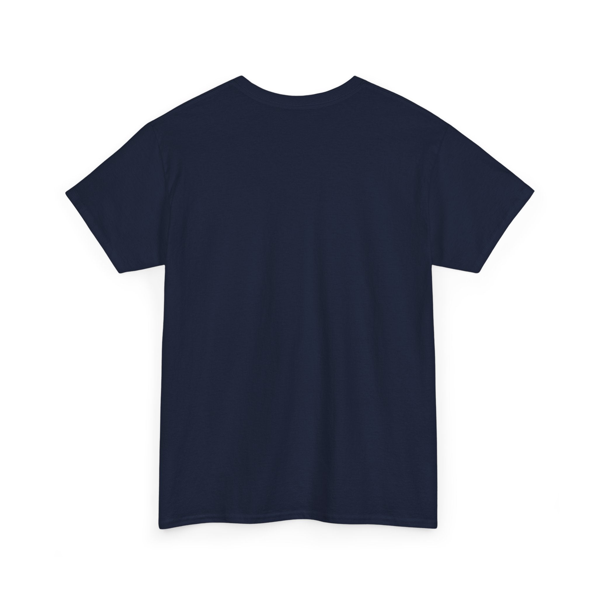 Dystopian White House Tee — Stormy Crumbling Graphic